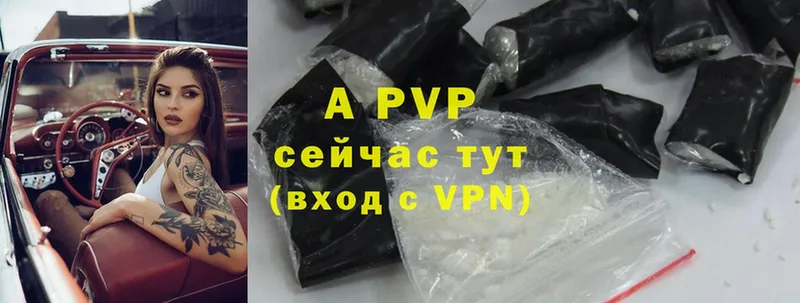 A-PVP СК Кукмор