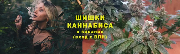 тгк Зеленодольск
