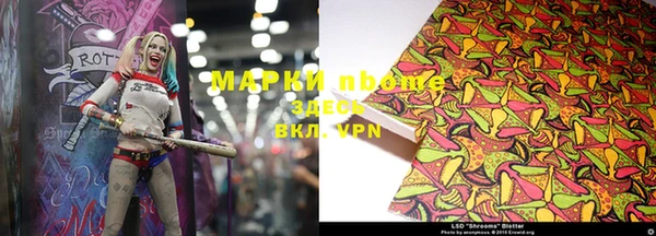 стаф Осташков