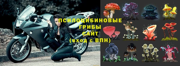 стаф Осташков
