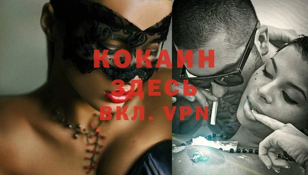 стаф Осташков