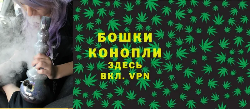 Бошки марихуана THC 21%  Кукмор 